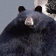 Uladzislau Kalesnikau's avatar